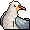 Habbox H23 Seagull