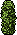 Habbox Haaziq Arbuste2