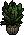 Habbox Haaziq Plante 2