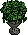 Habbox Haaziq Plante 3
