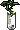 Habbox Haaziq Plante 5