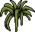 Habbox Haaziq Plante 9