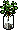 Habbox Haaziq Plante