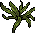 Habbox Haaziq Plante Petite