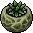 Habbox Haaziq Vase2