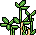 Habbox Hotel Fbnncls Plante16