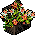 Habbox Moonlight Plante