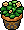 Habbox Persia 048