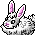 Habbox Stark Antiquity Lapin