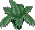Habbox Stark Antiquity Plante5