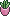 Habbox Stark Korean Plantes