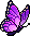 Habbox Stark Papillon