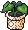 Habbox Stark Sakura Plante2