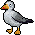 Habbox Styx Plage Oiseau