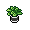 Habbox Wean Plante