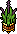 Hc16 Aloe Vera