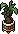 Hc16 Pineapple Tree