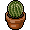 Petitcactus