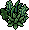 Herbe Wibbo2