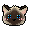 Hfdiy MassOfCatSiamese Kappa