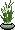 Hfdiy Narcissus XSongzi