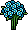 Garden Daisies