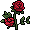 Garden Roses