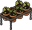 Hp Herbology
