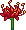 Hween C21 Spiderlily
