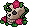 Hween C22 Roseskull