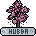 Ihubba Jojo Kirschbaum