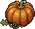 Kasja A Pumpkin