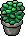 Kasja G Plants
