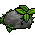 Kasja G Rock1
