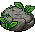 Kasja G Rock4