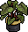 Kasja Mansionplay Plant1