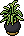 Kasja Mansionplay Plant