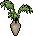 Kasja S Plant