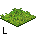 Kasja Sghibli L Grass