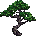 Kasja Sghibli Tree2