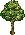Kasja's Tree