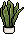 Kitchen Plant