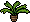Palm