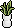 Kitchen Kit 22 Plant 07 01