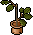 Livefurni19 Customplant10