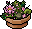 Livefurni19 Customplant1