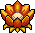 Lotus Flower 1