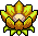 Lotus Flower 2