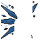 Crystal Wings Accessory
