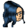 Dyanloxi Hair